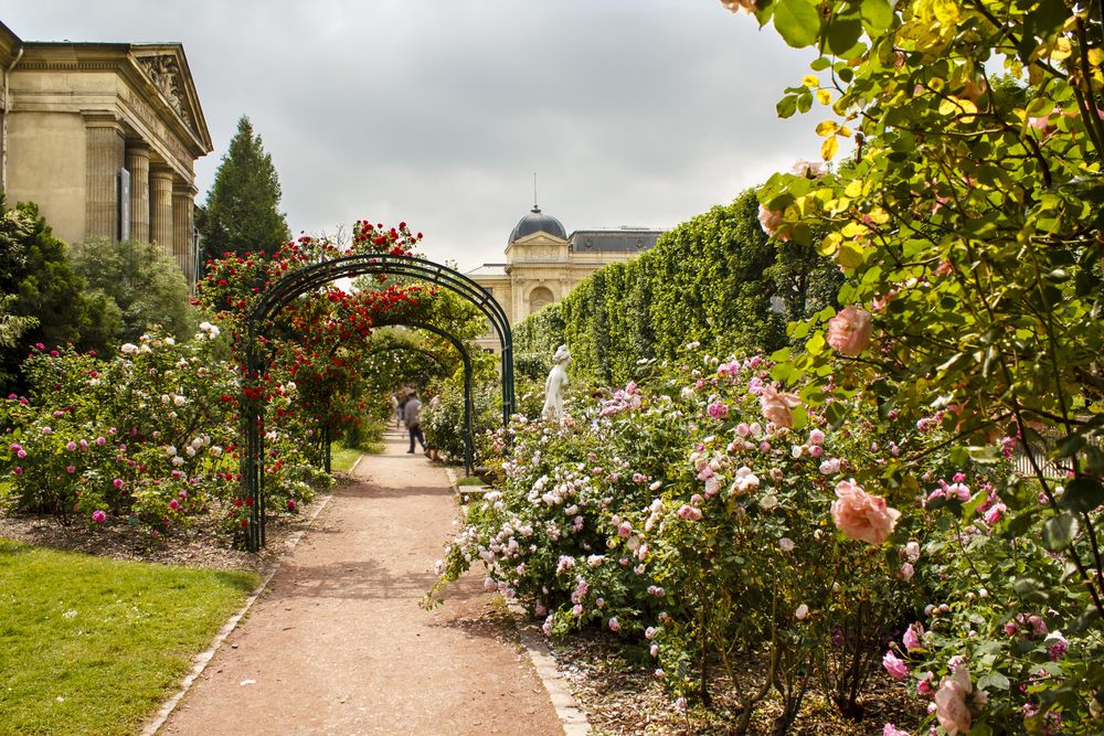 Jardin des plantes