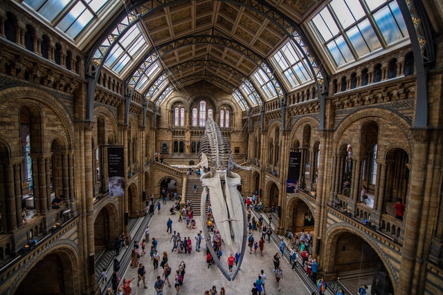 Natural History Museum