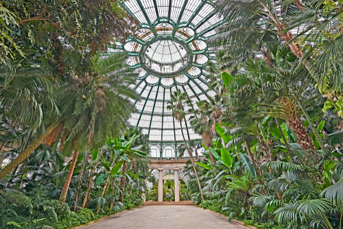 Brussels greenhouse laeken