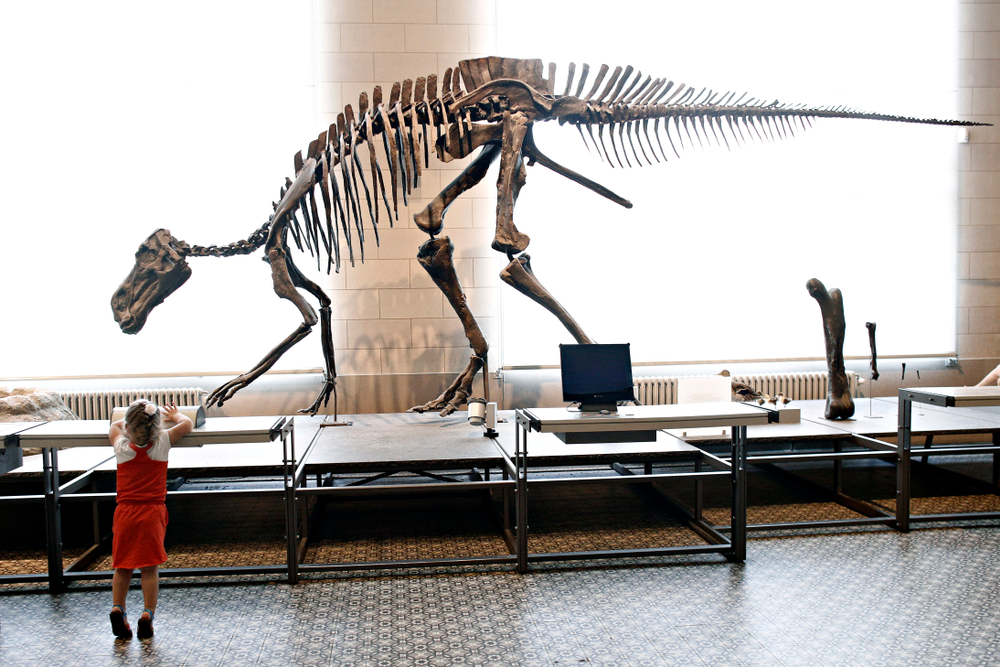 Museum of natural sciences