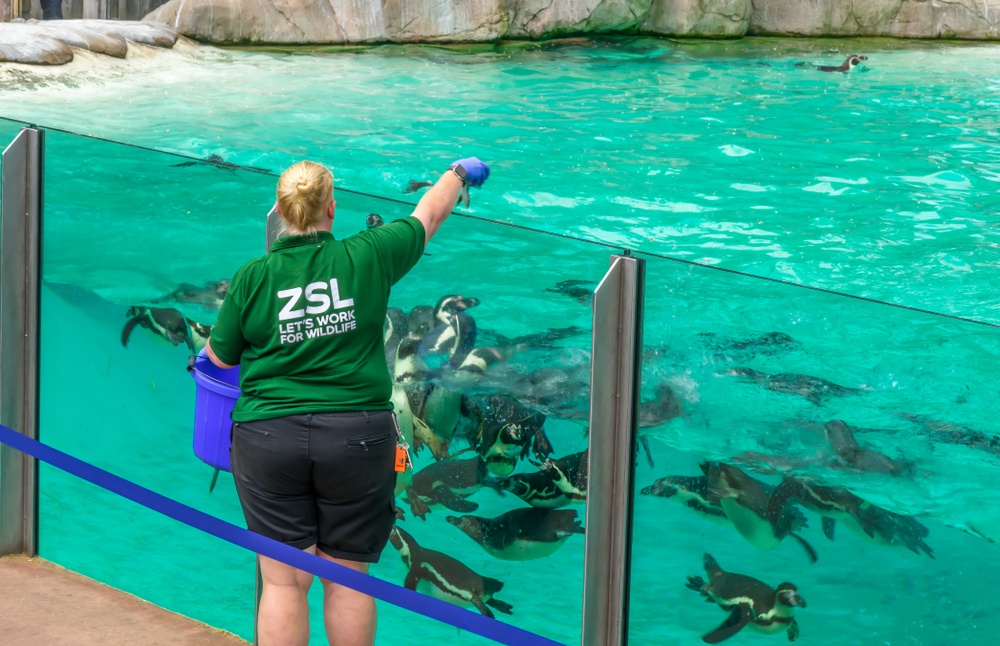 London Zoo
