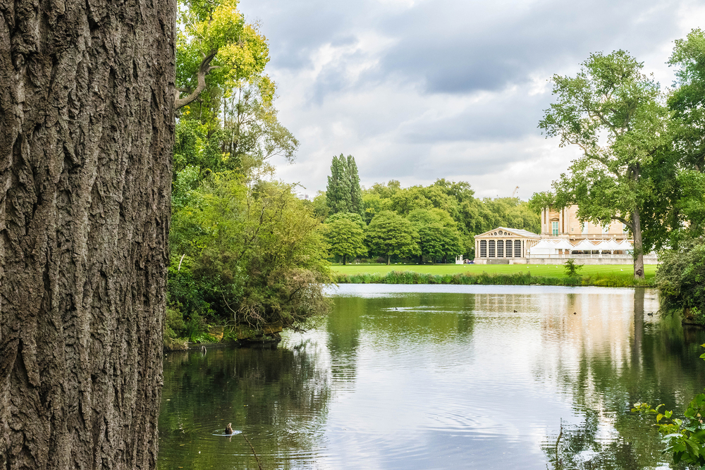 Buckingham Palace gardens