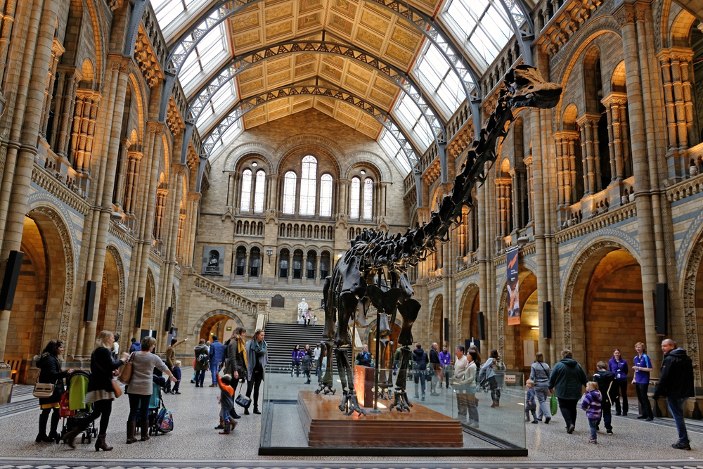 Natural history museum