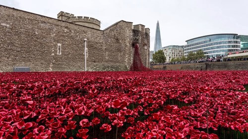 The ceramic poppies of the Tower