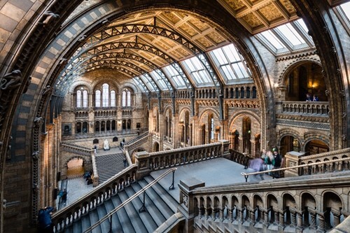 Natural History Museum